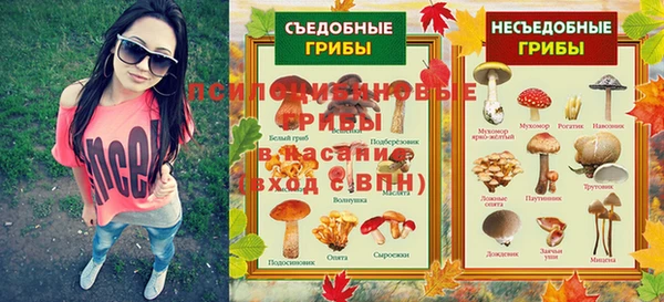 прущие грибы Алексеевка