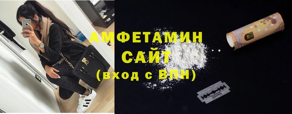 шишки Пересвет