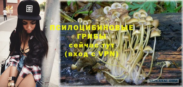 скорость Алзамай