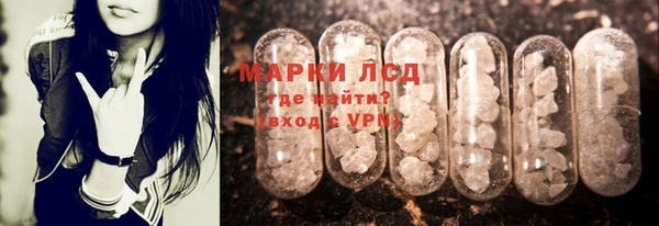 прущие грибы Алексеевка