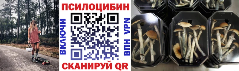 Галлюциногенные грибы ЛСД  blacksprut ONION  Лысьва 
